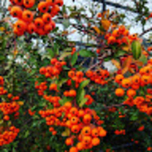 Meet your Posher, Ania